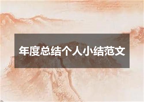 年度总结个人小结范文