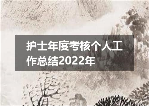 护士年度考核个人工作总结2022年