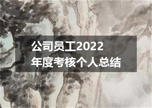 公司员工2022年度考核个人总结