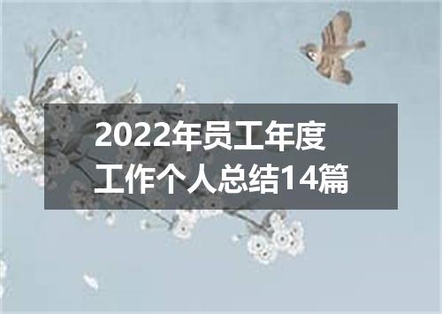 2022年员工年度工作个人总结14篇