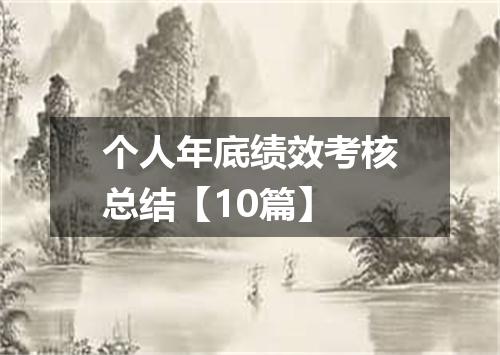 个人年底绩效考核总结【10篇】