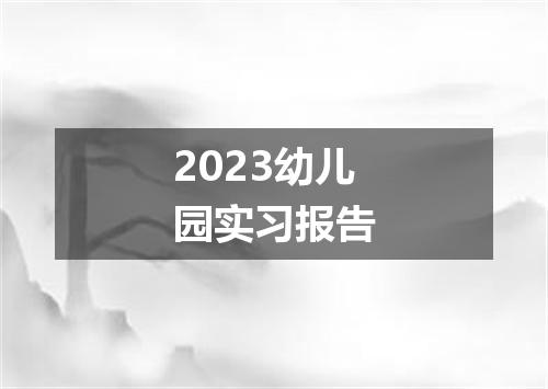 2023幼儿园实习报告