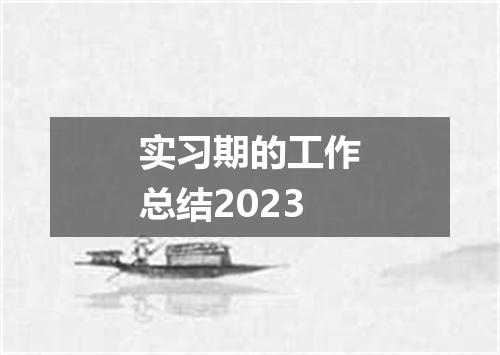 实习期的工作总结2023