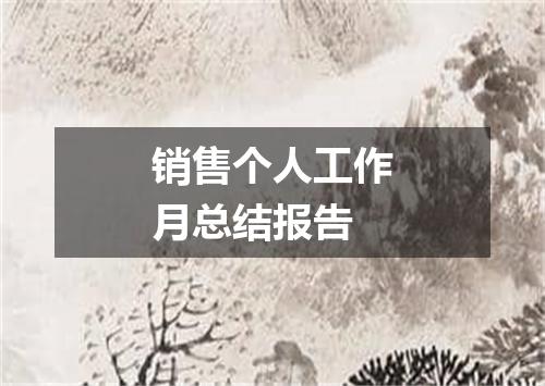 销售个人工作月总结报告