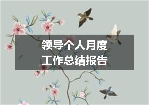 领导个人月度工作总结报告