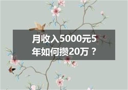 月收入5000元5年如何攒20万？
