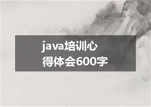 java培训心得体会600字