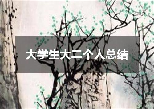 大学生大二个人总结