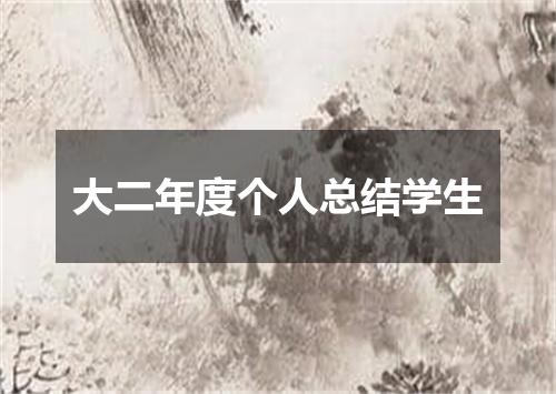大二年度个人总结学生