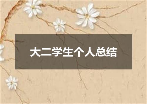 大二学生个人总结
