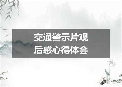 交通警示片观后感心得体会