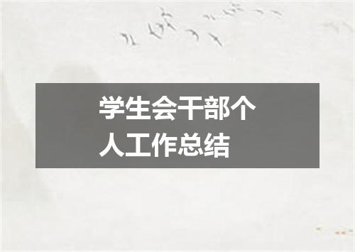 学生会干部个人工作总结