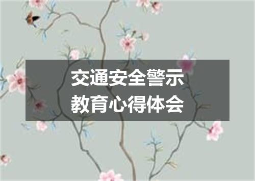 交通安全警示教育心得体会
