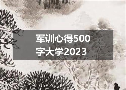 军训心得500字大学2023