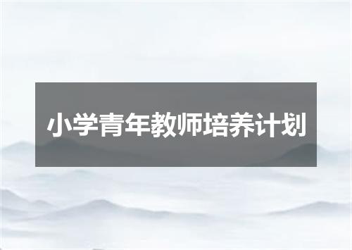 小学青年教师培养计划