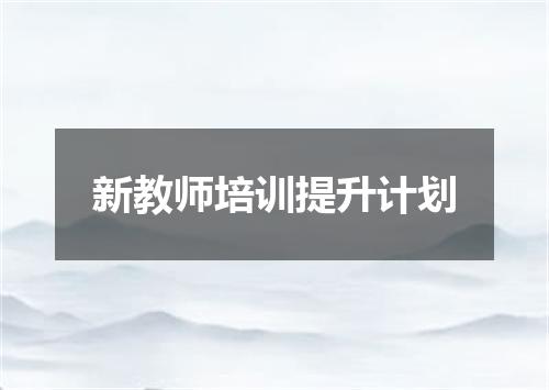 新教师培训提升计划