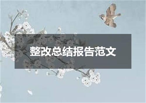 整改总结报告范文