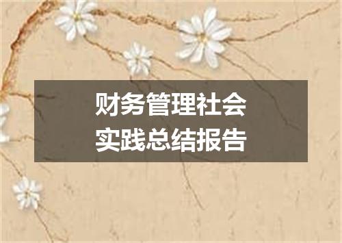财务管理社会实践总结报告