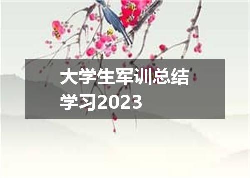 大学生军训总结学习2023