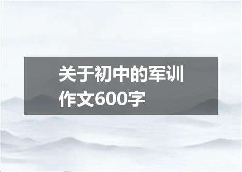 关于初中的军训作文600字