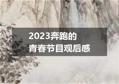 2023奔跑的青春节目观后感