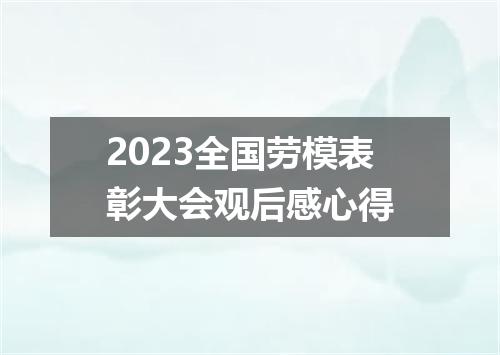 2023全国劳模表彰大会观后感心得