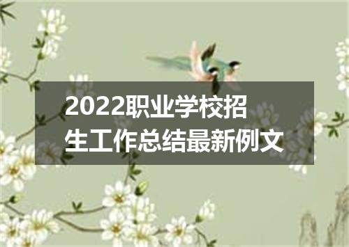 2022职业学校招生工作总结最新例文