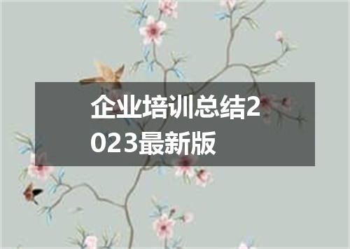 企业培训总结2023最新版