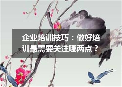 企业培训技巧:做好培训最需要关注哪两点?