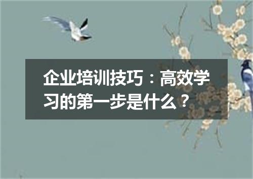 企业培训技巧:高效学习的第一步是什么?