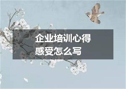企业培训心得感受怎么写