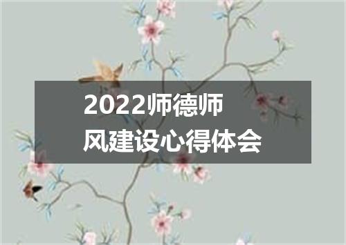 2022师德师风建设心得体会