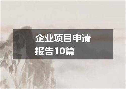 企业项目申请报告10篇