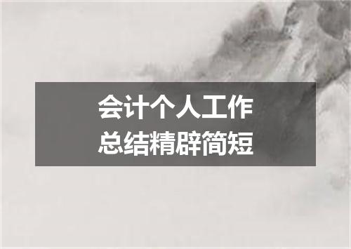 会计个人工作总结精辟简短