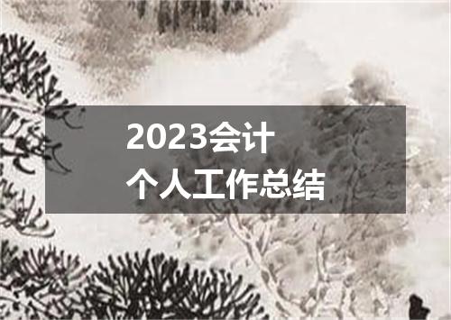 2023会计个人工作总结