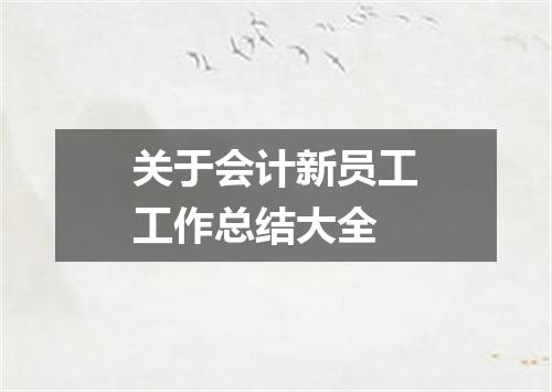 关于会计新员工工作总结大全