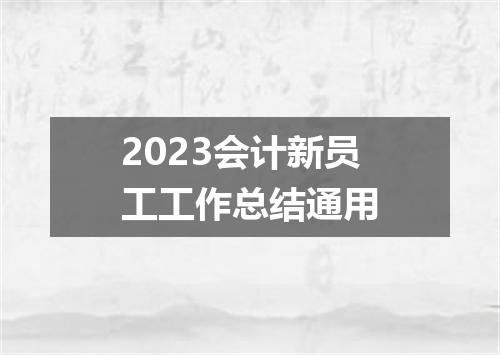 2023会计新员工工作总结通用