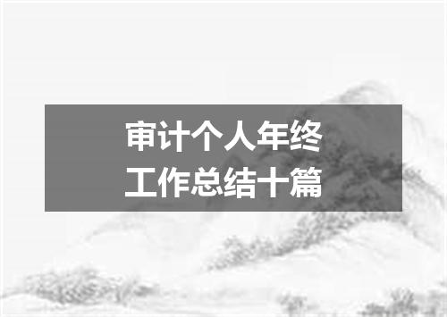 审计个人年终工作总结十篇