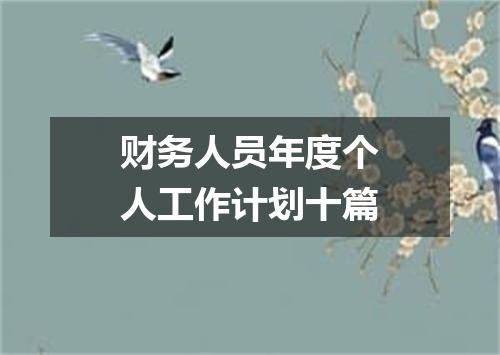 财务人员年度个人工作计划十篇