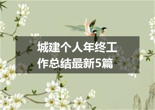 城建个人年终工作总结最新5篇