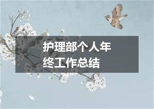 护理部个人年终工作总结