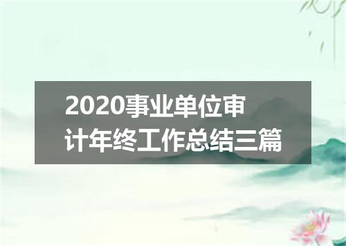 2020事业单位审计年终工作总结三篇