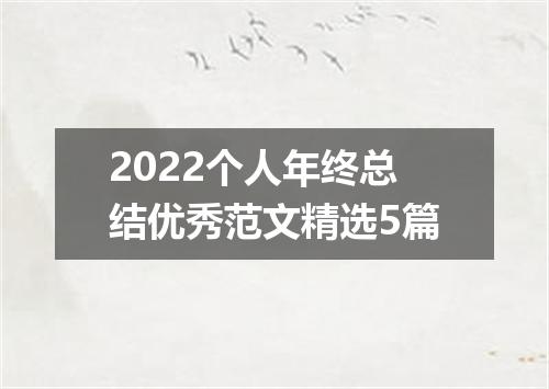 2022个人年终总结优秀范文精选5篇