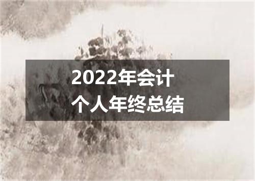 2022年会计个人年终总结