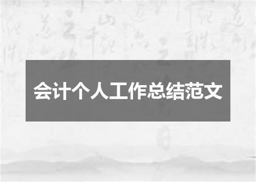 会计个人工作总结范文