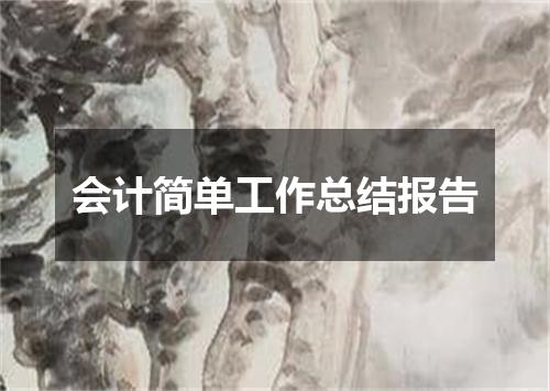会计简单工作总结报告