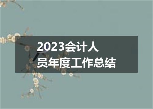 2023会计人员年度工作总结
