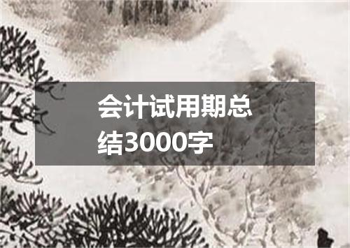 会计试用期总结3000字
