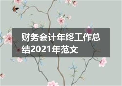 财务会计年终工作总结2021年范文