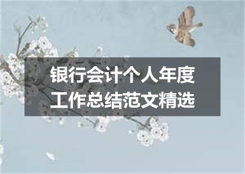 银行会计个人年度工作总结范文精选